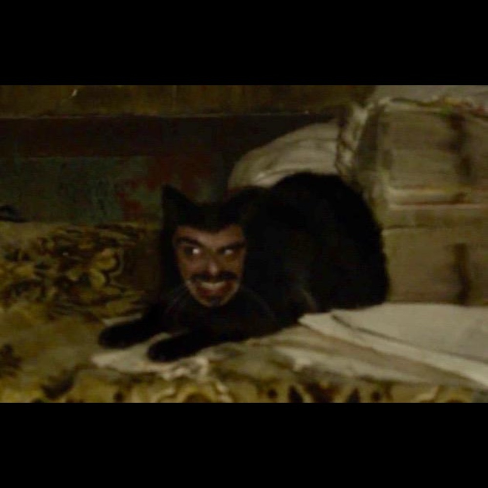 Meet your Posher, Erik